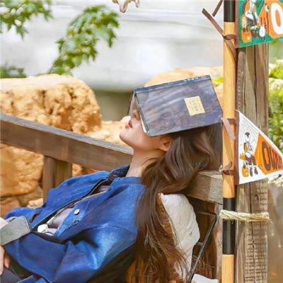 特别行动：母狮第二季